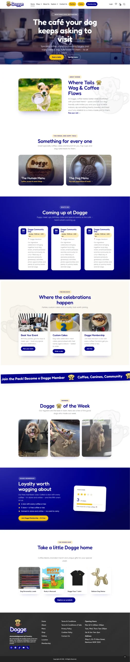 Website project screenshot